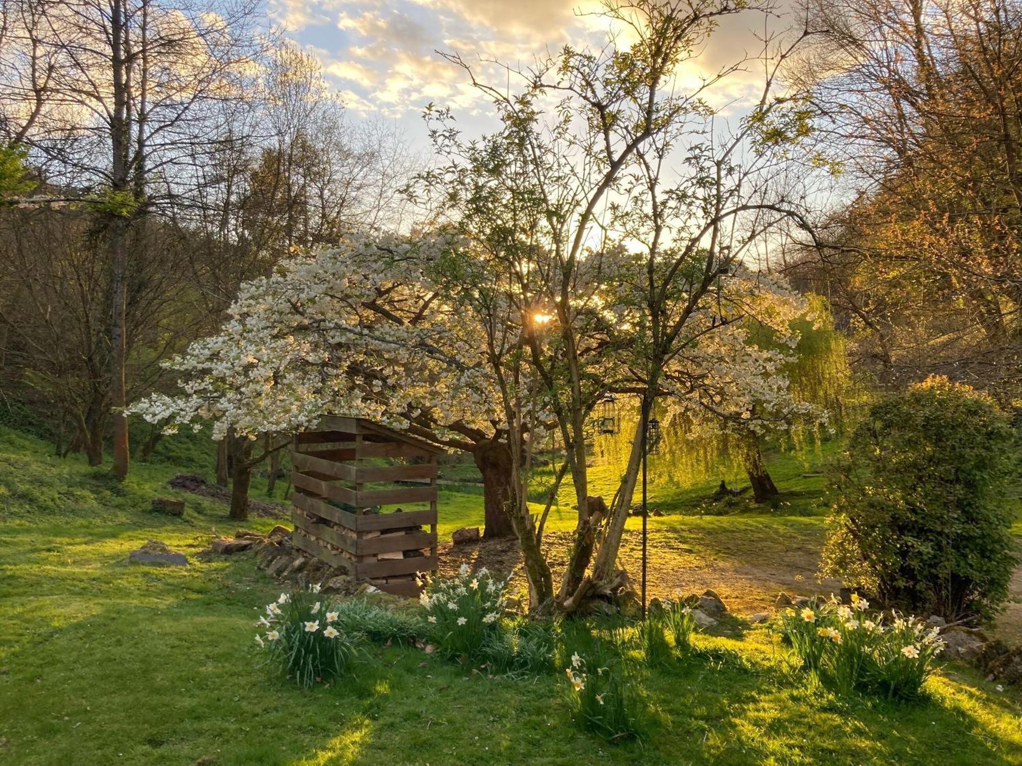 Driftcombe Farmhouse Bisley  Luaran gambar